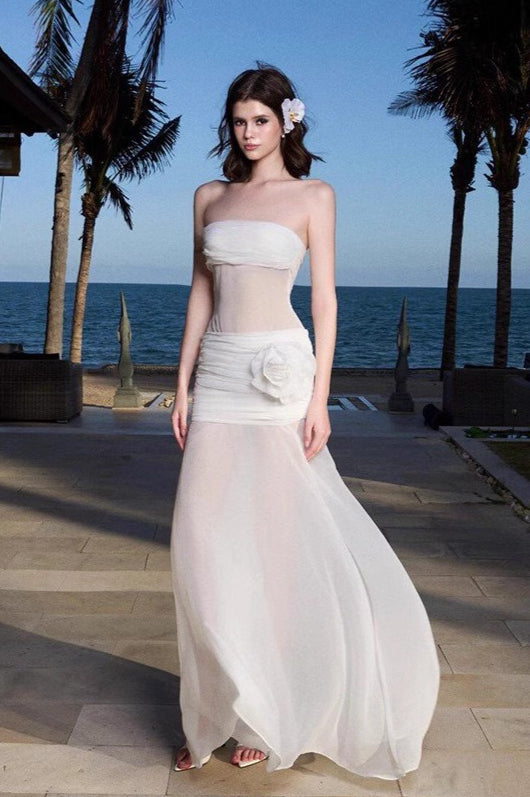 Sexy Sheer Mesh Strapless Vacation Dress