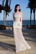 Sexy Sheer Mesh Strapless Vacation Dress