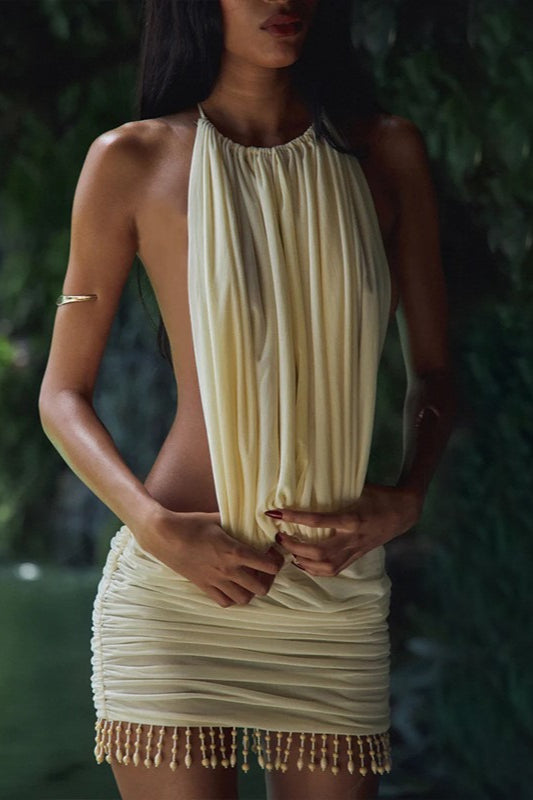 Chic Backless Tassel Bodycon Vacation Dress